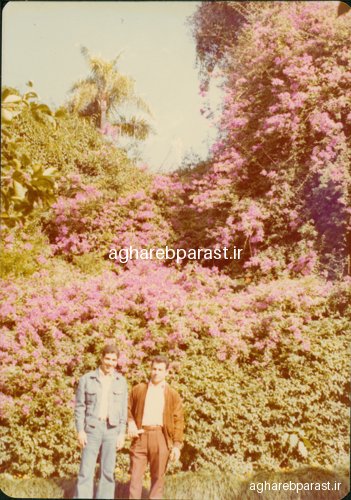 حسن اقارب پرست در آیپرس گاردن